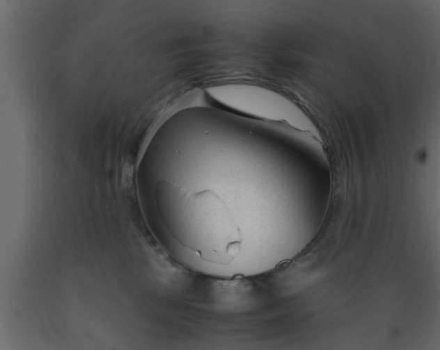 X0000089450281200707061248