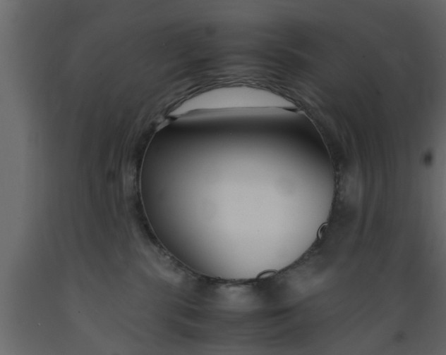 X0000089450283200707061248