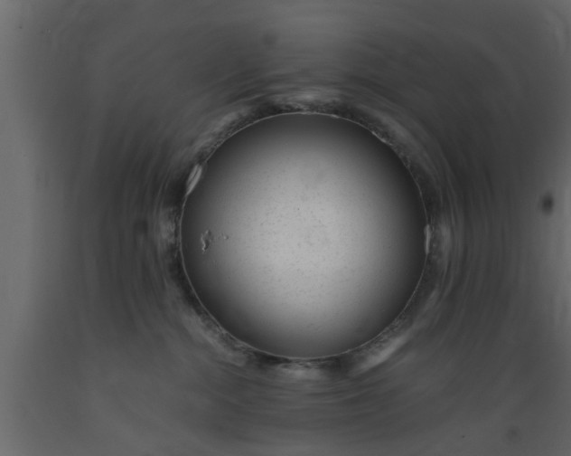 X0000089450284200707061248