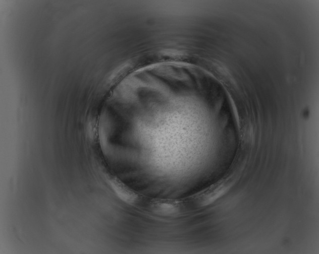 X0000089450285200707061248