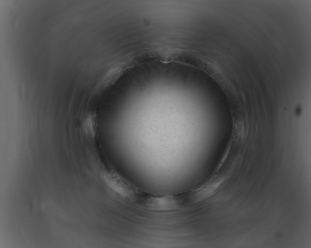 X0000089450286200707061248