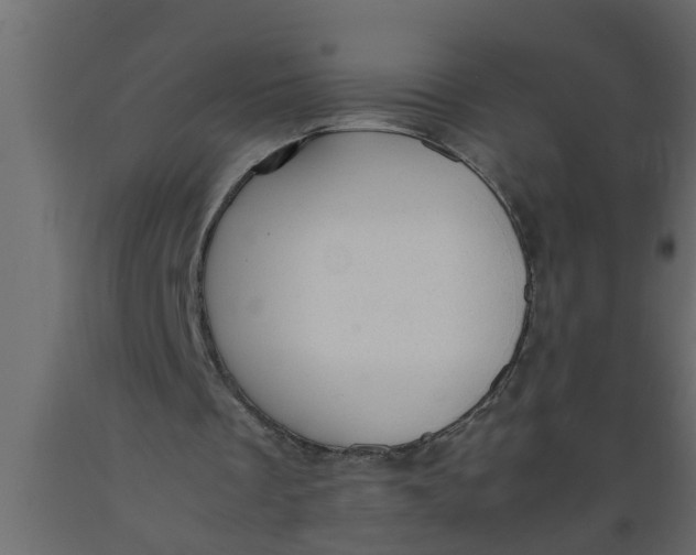 X0000089450289200707061248