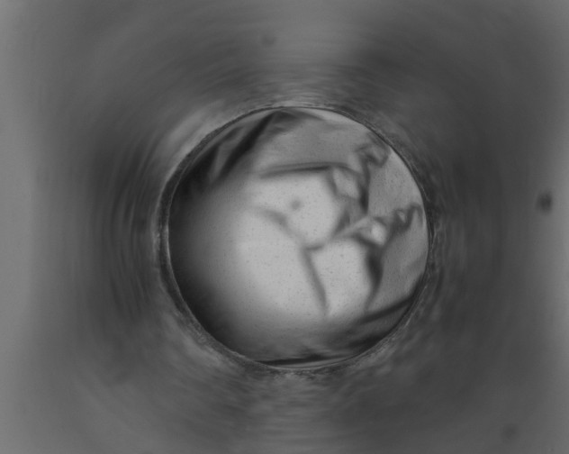 X0000089450290200707061248