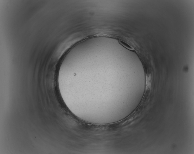 X0000089450291200707061248