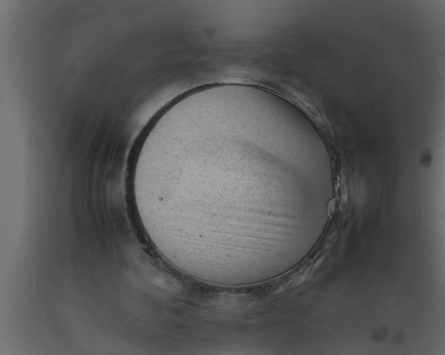 X0000089450292200707061248