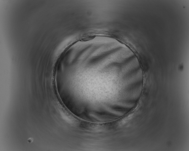 X0000089450293200707061248