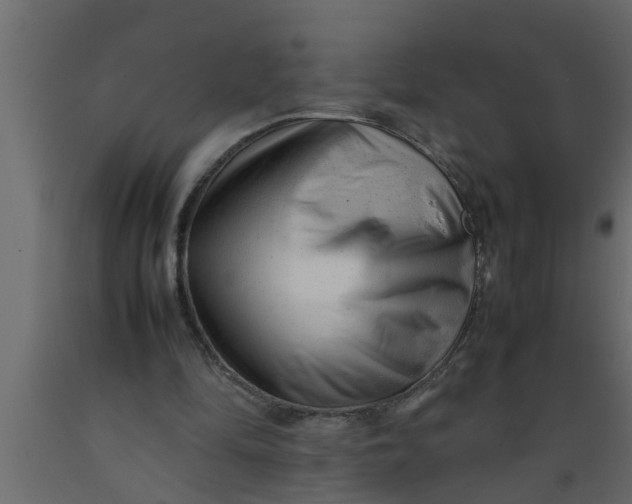 X0000089450294200707061248