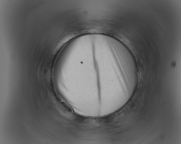 X0000089450297200707061248