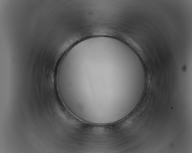 X0000089450298200707061248