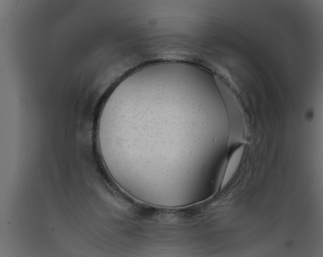 X0000089450299200707061248