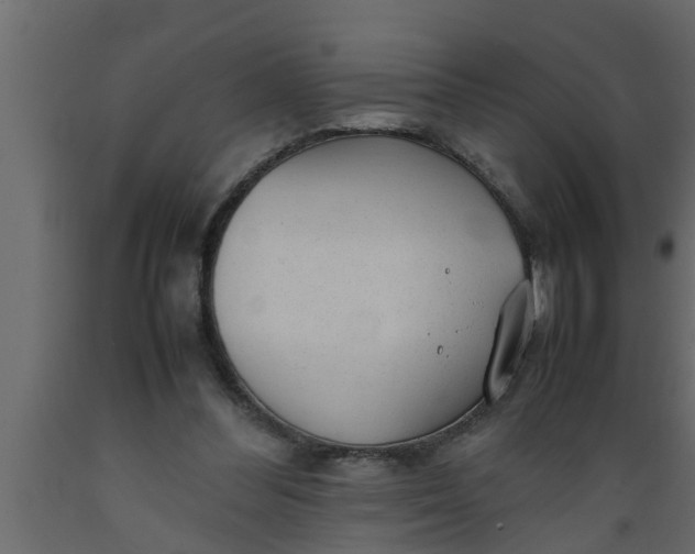 X0000089450300200707061248