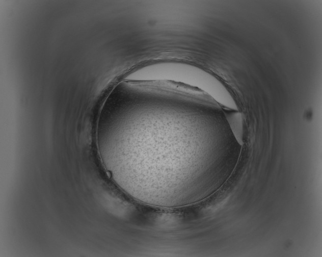 X0000089450303200707061248