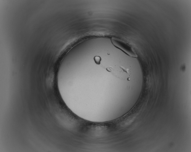 X0000089450304200707061248