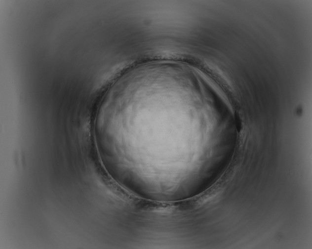 X0000089450306200707061248