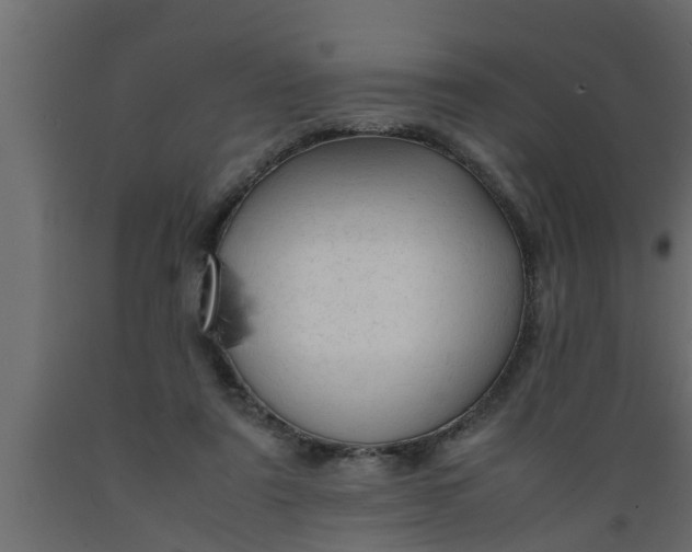 X0000089450307200707061248