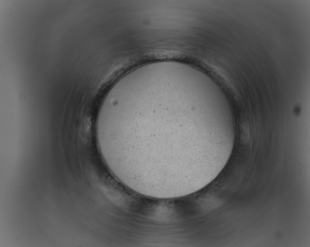 X0000089450308200707061248