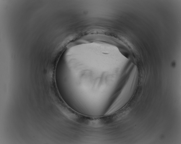 X0000089450309200707061248