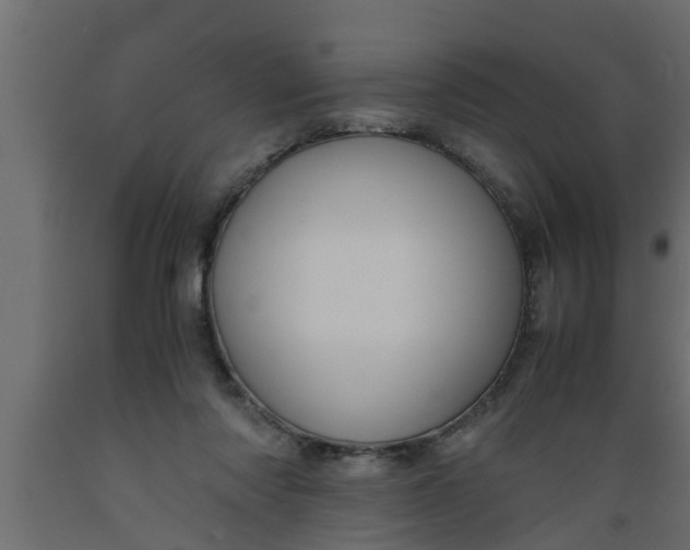 X0000089450310200707061248