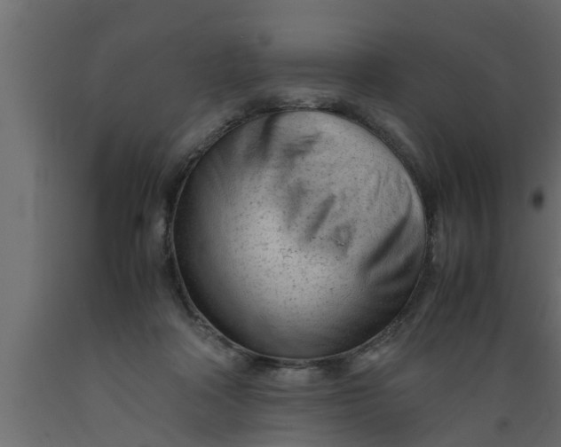 X0000089450314200707061248