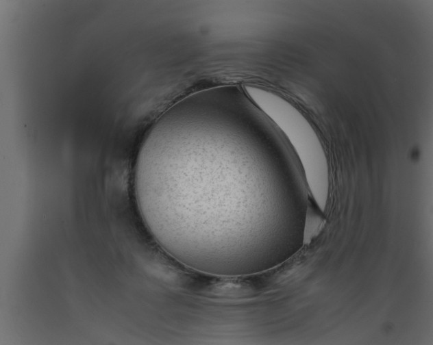 X0000089450315200707061247