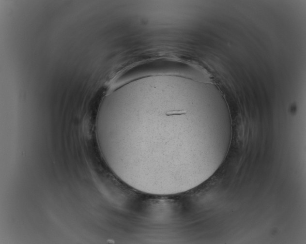 X0000089450316200707061247