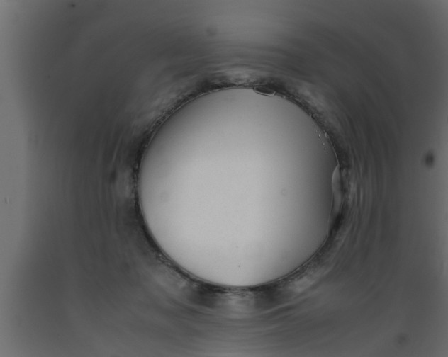 X0000089450317200707061247