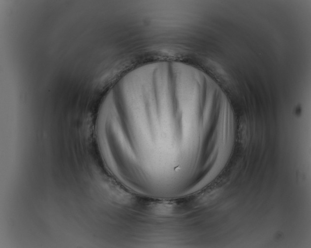 X0000089450318200707061247