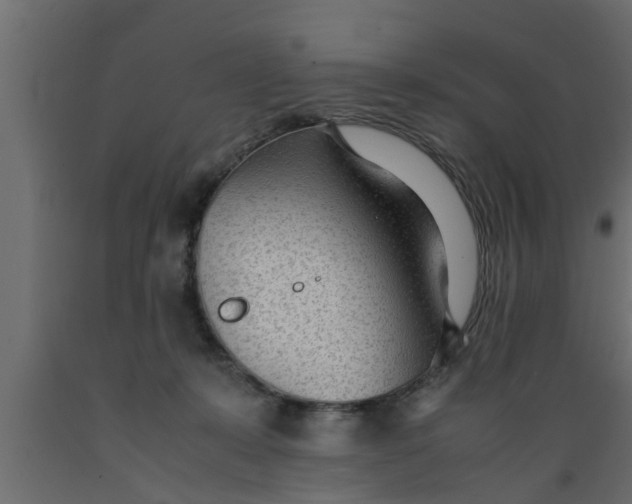 X0000089450319200707061247