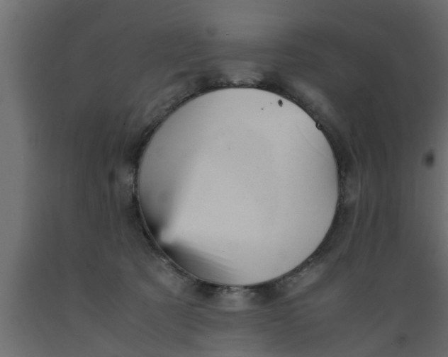 X0000089450321200707061247