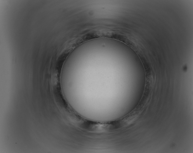 X0000089450323200707061247