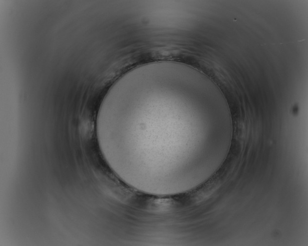 X0000089450324200707061247