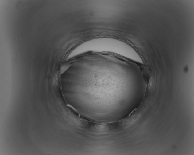 X0000089450325200707061247