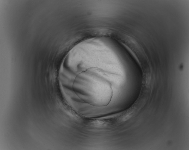 X0000089450326200707061247