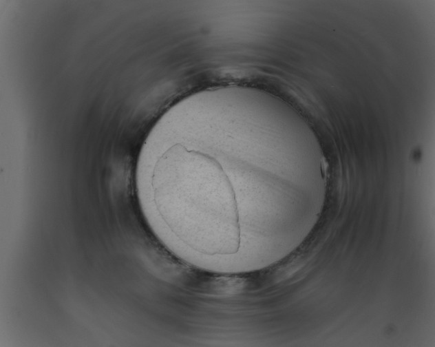 X0000089450328200707061247