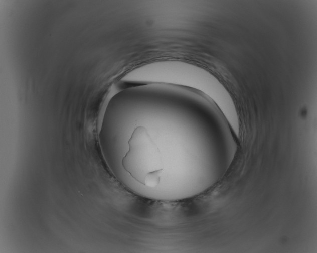 X0000089450329200707061247