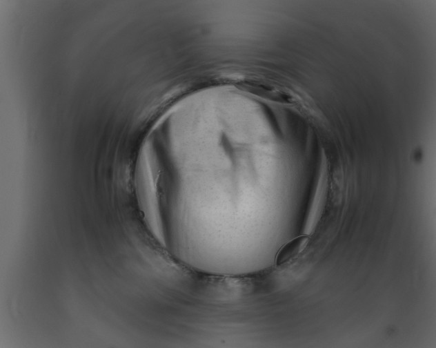 X0000089450330200707061247