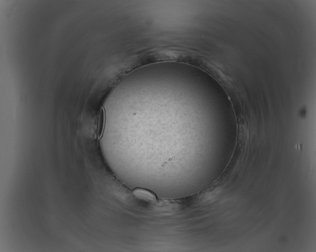 X0000089450331200707061247