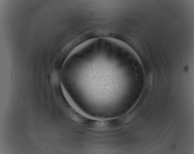 X0000089450335200707061247