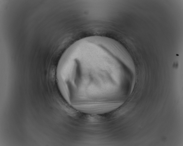 X0000089450336200707061247