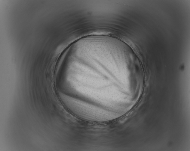 X0000089450337200707061247