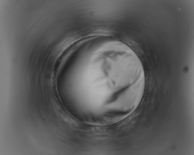 X0000089450338200707061247