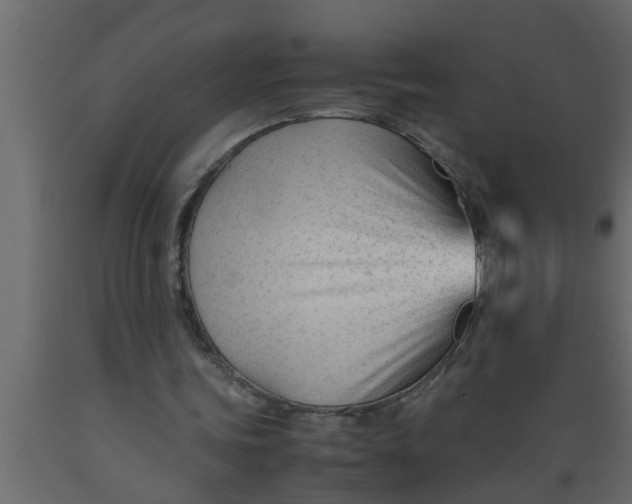 X0000089450339200707061247