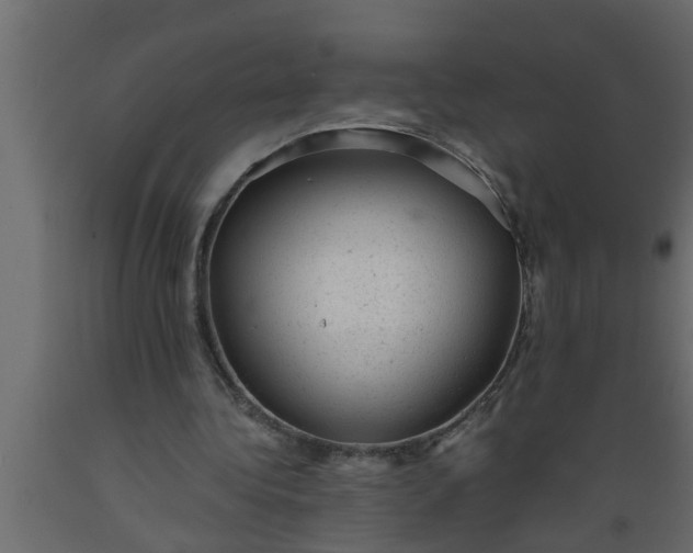 X0000089450340200707061247