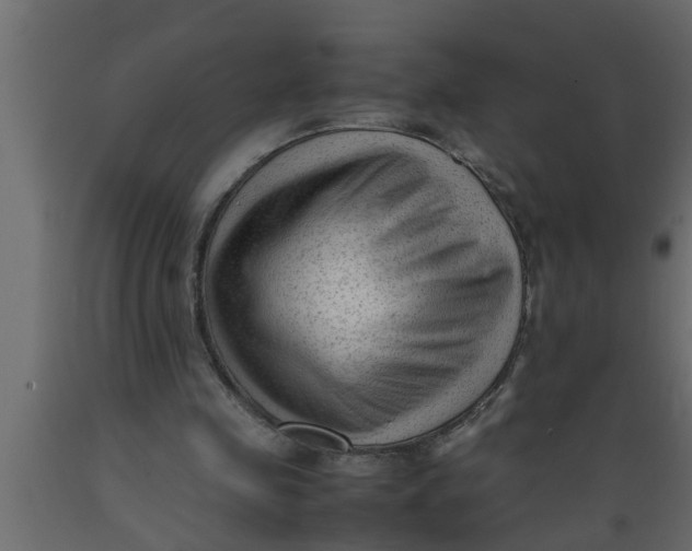 X0000089450341200707061247