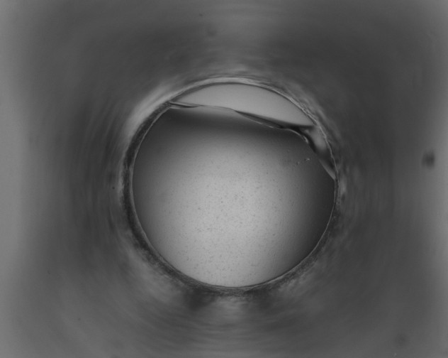 X0000089450344200707061247