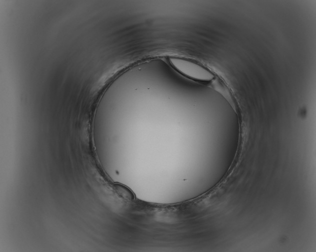 X0000089450345200707061247