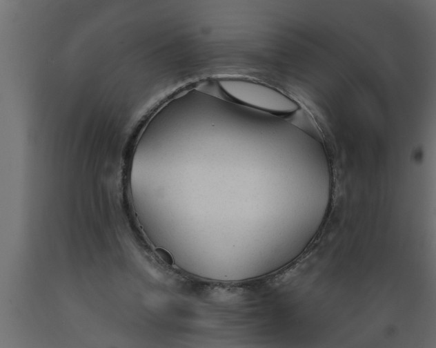 X0000089450346200707061247