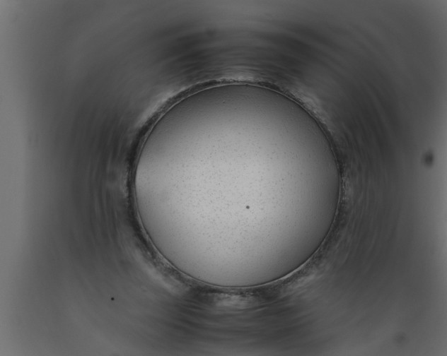 X0000089450347200707061247