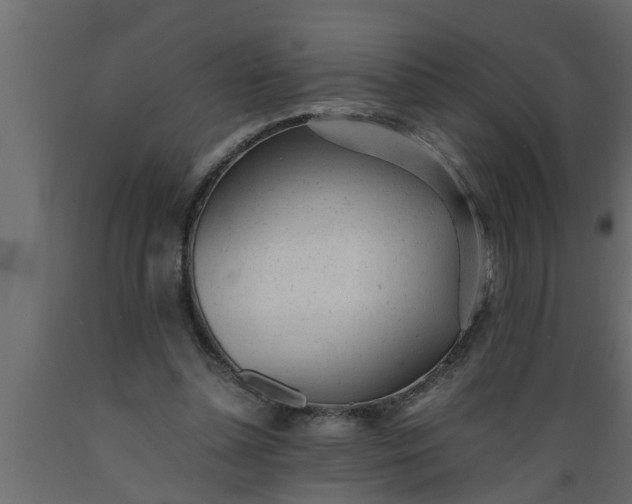 X0000089450348200707061247