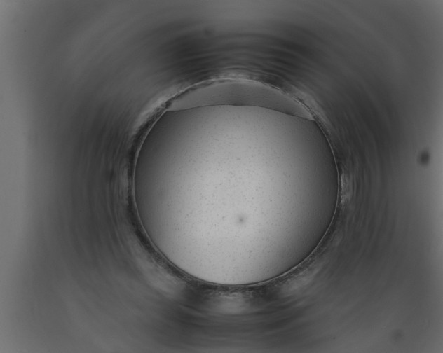 X0000089450349200707061247